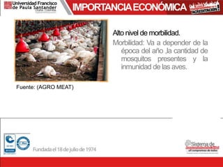 IMPORTANCIAECONÓMICA
Alto nivel de morbilidad.
Morbilidad: Va a depender de la
época del año ,la cantidad de
mosquitos presentes y la
inmunidad de las aves.
Fuente: (AGRO MEAT)
 