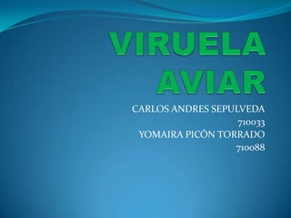 VIRUELA AVIAR CARLOS ANDRES SEPULVEDA 710033 YOMAIRA PICÓN TORRADO 710088 