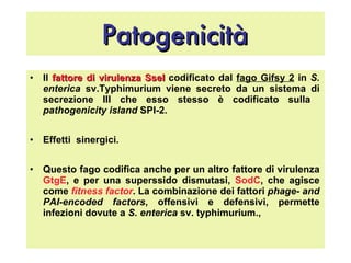 Patogenicità Il  fattore di virulenza SseI  codificato dal  fago Gifsy 2  in  S. enterica  sv.Typhimurium viene secreto da un sistema di secrezione III che esso stesso è codificato sulla  pathogenicity island  SPI-2.  Effetti  sinergici.  Questo fago codifica anche per un altro fattore di virulenza  GtgE , e per una superssido dismutasi,  SodC , che agisce come  fitness   factor . La combinazione dei fattori  phage- and PAI-encoded factors , offensivi e defensivi, permette infezioni dovute a  S. enterica  sv. typhimurium.,  