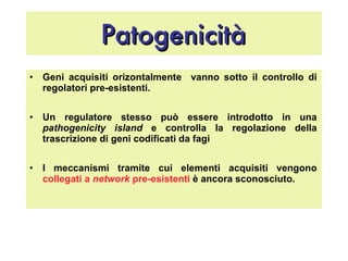 Patogenicità Geni acquisiti orizontalmente  vanno sotto il controllo di regolatori pre-esistenti. Un regulatore stesso può essere introdotto in una  pathogenicity island  e controlla la regolazione della trascrizione di geni codificati da fagi I meccanismi tramite cui elementi acquisiti vengono  collegati a   network  pre-esistenti  è ancora sconosciuto. 