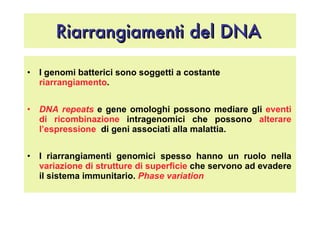 Riarrangiamenti del DNA   I genomi batterici sono soggetti a costante  riarrangiamento .  DNA repeats  e gene omologhi possono mediare gli  eventi di   ricombinazione  intragenomici che possono  alterare l’espressione   di geni associati alla malattia. I riarrangiamenti genomici spesso hanno un ruolo nella  variazione di strutture di superficie  che servono ad evadere il sistema immunitario.  Phase variation 
