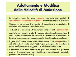 Adattamento e Modifica della Velocità di Mutazione La maggior parte dei batteri  sembra  passi attraverso periodi di  incremento della velocità di mutazione  durante la loro vota evolutiva.  Comunque un legame tra velocità di mutazione e potenzialità di virulenza non è ancora stato dimostrato. In  E. coli  e  S. enterica  sv.  typhimurium , sono presenti  i geni mutatori   mutS  che non sono in grado di riparare  mismatch  nel meccanismo di  DNA repair  accelerano la velocità di mutazione e rilasciano le barriere che normalmente restringono la ricombinazione omologa.  Il gene  mutS  risiede in una zona di recombinazione  hot spot  sia in  E. coli  che in  Salmonella  ( mutS - rpoS  region), suggerendo che stesso il gene  mutS  può essere  soggetto a trasferimento orizzontale. Il recupero di un allele normale del gene  mut  tramite HGT potrebbe essere il meccanismo per stabilizzare cambiamenti adattativi promossi dal mutatore  mutS ).  