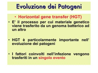Evoluzione dei Patogeni Horizontal gene transfer (HGT)   E’ il processo per cui materiale genetico viene trasferito da un genoma batterico ad un altro   HGT è particolarmente importante nell’ evoluzione dei patogeni  I fattori coinvolti nell’infezione vengono trasferiti in un  singolo evento 