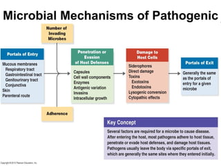 Microbial Mechanisms of Pathogenic
 