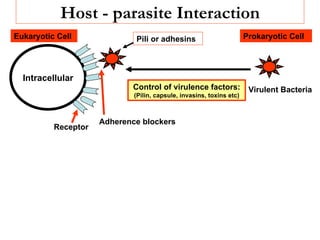 Host - parasite Interaction
Eukaryotic Cell              Pili or adhesins                         Prokaryotic Cell




  Intracellular
                            Control of virulence factors:              Virulent Bacteria
                             (Pilin, capsule, invasins, toxins etc)



                     Adherence blockers
          Receptor
 