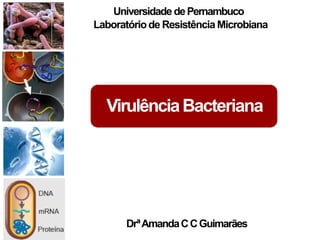 VirulênciaBacteriana
Universidade dePernambuco
Laboratóriode Resistência Microbiana
DrªAmandaCCGuimarães
 