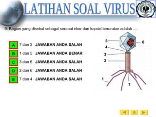LATIHAN SOAL VIRUS 9. Bagian yang disebut sebagai serabut ekor dan kapsid berurutan adalah .... 7 dan 2 A 1 dan 5 B 3 dan 6 C 2 dan 6 D 7 dan 4 E JAWABAN ANDA SALAH JAWABAN ANDA BENAR JAWABAN ANDA SALAH JAWABAN ANDA SALAH JAWABAN ANDA SALAH 1 2 3 4 5 6 7 