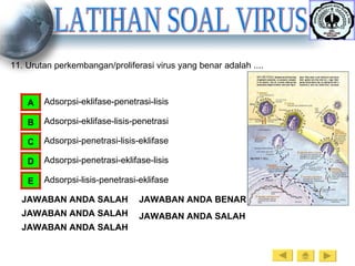 LATIHAN SOAL VIRUS 11. Urutan perkembangan/proliferasi virus yang benar adalah .... Adsorpsi-eklifase-penetrasi-lisis A Adsorpsi-eklifase-lisis-penetrasi B Adsorpsi-penetrasi-lisis-eklifase C Adsorpsi-penetrasi-eklifase-lisis D Adsorpsi-lisis-penetrasi-eklifase E JAWABAN ANDA SALAH JAWABAN ANDA SALAH JAWABAN ANDA SALAH JAWABAN ANDA BENAR JAWABAN ANDA SALAH 