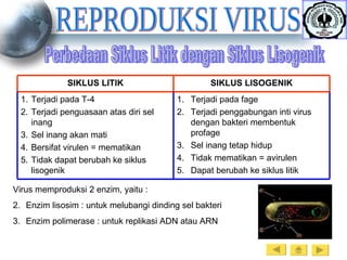 REPRODUKSI VIRUS Perbedaan Siklus Litik dengan Siklus Lisogenik Virus memproduksi 2 enzim, yaitu : Enzim lisosim : untuk melubangi dinding sel bakteri Enzim polimerase : untuk replikasi ADN atau ARN Terjadi pada fage Terjadi penggabungan inti virus dengan bakteri membentuk profage Sel inang tetap hidup Tidak mematikan = avirulen Dapat berubah ke siklus litik Terjadi pada T-4 Terjadi penguasaan atas diri sel inang Sel inang akan mati Bersifat virulen = mematikan Tidak dapat berubah ke siklus lisogenik SIKLUS LISOGENIK SIKLUS LITIK 