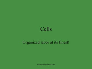 Cells

Organized labor at its finest!




         www.freelivedoctor.com
 