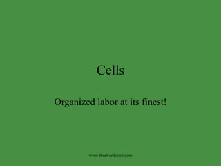 Cells Organized labor at its finest! www.freelivedoctor.com 