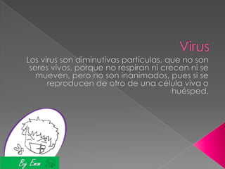 Virus Los virus son diminutivas partículas, que no son seres vivos, porque no respiran ni crecen ni se mueven, pero no son inanimados, pues si se reproducen de otro de una célula viva o huésped.  