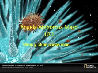 Ángela Atehortua Mazo 10.1 Virus y otras cosas mas … 