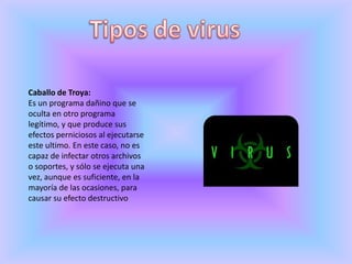 Tipos de virusCaballo de Troya:Es un programa dañino que se oculta en otro programa legítimo, y que produce sus efectos perniciosos al ejecutarse este ultimo. En este caso, no es capaz de infectar otros archivos o soportes, y sólo se ejecuta una vez, aunque es suficiente, en la mayoría de las ocasiones, para causar su efecto destructivo