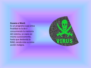 Gusano o Word:Es un programa cuya única finalidad es la de ir consumiendo la memoria del sistema, se copia así mismo sucesivamente, hasta que desborda la RAM, siendo ésta su única acción maligna.