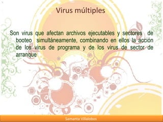 Virus múltiples  Son virus que afectan archivos ejecutables y sectores  de booteo  simultáneamente, combinando en ellos la acción de los virus de programa y de los virus de sector de arranque  