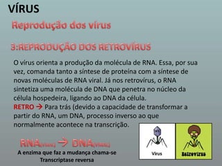 VÍRUSReprodução dos vírus3:REPRODUÇÃO DOS RETROVÍRUS O vírus orienta a produção da molécula de RNA. Essa, por sua vez, comanda tanto a síntese de proteína com a síntese de novas moléculas de RNA viral. Já nos retrovírus, o RNA sintetiza uma molécula de DNA que penetra no núcleo da célula hospedeira, ligando ao DNA da célula.RETRO  Para trás (devido a capacidade de transformar a partir do RNA, um DNA, processo inverso ao que normalmente acontece na transcrição. RNA(VIRAL)  DNA(VIRAL)A enzima que faz a mudança chama-se Transcriptase reversa 