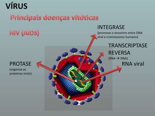 VÍRUSPrincipais doenças vitóticasINTEGRASE(promove o encontro entre DNA viral e cromossomo humano) HIV (AIDS) TRANSCRIPTASE REVERSA(RNA  DNA) RNA viralPROTASE(organiza as proteínas virais) 