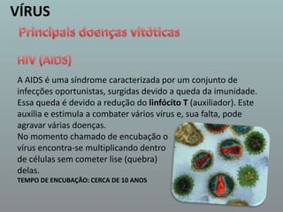 VÍRUSPrincipais doenças vitóticasHIV (AIDS) A AIDS é uma síndrome caracterizada por um conjunto de infecções oportunistas, surgidas devido a queda da imunidade. Essa queda é devido a redução do linfócito T (auxiliador). Este auxilia e estimula a combater vários vírus e, sua falta, pode agravar várias doenças.No momento chamado de encubação o vírus encontra-se multiplicando dentrode células sem cometer lise (quebra) delas. TEMPO DE ENCUBAÇÃO: CERCA DE 10 ANOS