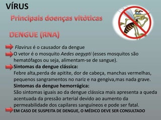 VÍRUSPrincipais doenças vitóticasDENGUE (RNA)Flavirus é o causador da dengueO vetor é o mosquito Aedesaegypti(esses mosquitos são hematófagos ou seja, alimentam-se de sangue). Sintomas da dengue clássica:Febre alta,perda de apitite, dor de cabeça, manchas vermelhas, pequenos sangramentos no nariz e na gengiva,mas nada grave.Sintomas da dengue hemorrágica:São sintomas iguais ao da dengue clássica mais apresenta a queda acentuada da pressão arterial devido ao aumento da permeabilidade dos capilares sanguíneos e pode ser fatal.EM CASO DE SUSPEITA DE DENGUE, O MÉDICO DEVE SER CONSULTADO