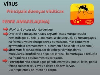 VÍRUSPrincipais doenças vitóticasFEBRE AMARELA(RNA)Flavirus é o causador da dengueO vetor é o mosquito Aedesaegypti(esses mosquitos são hematófagos ou seja, alimentam-se de sangue), ou Haemagogusna forma silvestre (hospedeiros os macacos, mas como vem agravando o desmatamento, o homem é hospedeiro acidental).Sintomas: febre,calafrio,dor de cabeça,vômitos,dores musculares, insuficiência hepática e renal, hemorragias e redução na freqüência dos batimentos cardíacos. Prevenção: Não deixar água parada em vasos, pneus, latas, pois a fêmea colocam seus ovos e deles eclodem larvas.Usar repelentes de inseto no corpo. 