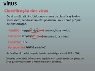 VÍRUSClassificação dos vírusOs vírus não são incluídos no sistema de classificação dos seres vivos, sendo assim eles possuem um sistema próprio de classificação.Família: HerpeviridaeTERMINAÇÃO DE FAMÍLIAGênero: SimplexvirusTERMINAÇÃO DE GÊNEROEspécie: HHV Variedades: HHV-1 e HHV-2 As famílias são definidas pelo tipo de material genético ( RNA e DNA).Conceito de espécie (vírus) : uma espécie viral compreende um grupo de vírus que compartilham o mesmo material genético.