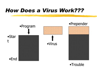 How Does a Virus Work??? Trouble Prepender Virus Program Start End 