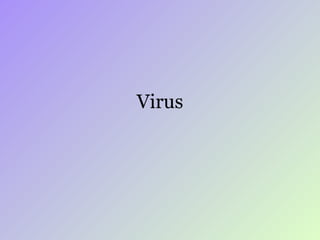 Virus 