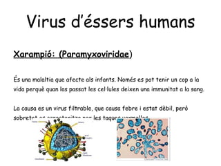 Virus d’éssers humans Xarampió: (Paramyxoviridae ) És una malaltia que afecte als infants. Només es pot tenir un cop a la vida perquè quan las passat les cel·lules deixen una immunitat a la sang. La causa es un virus filtrable, que causa febre i estat dèbil, però sobretot es caracteritza per les taques vermelles. 