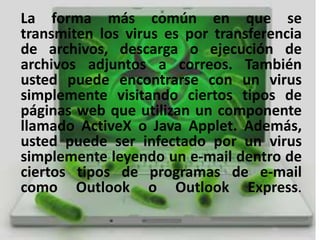 La forma más común en que se
transmiten se transmiten los virus?
   ¿Cómo los virus es por transferencia
de archivos, descarga o ejecución de
archivos adjuntos a correos. También
usted puede encontrarse con un virus
simplemente visitando ciertos tipos de
páginas web que utilizan un componente
llamado ActiveX o Java Applet. Además,
usted puede ser infectado por un virus
simplemente leyendo un e-mail dentro de
ciertos tipos de programas de e-mail
como Outlook o Outlook Express.
 