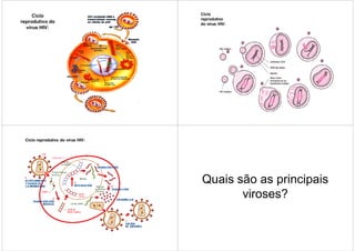 Ciclo                         Ciclo
                                   reprodutivo
reprodutivo do                     do vírus HIV:
  vírus HIV:




 Ciclo reprodutivo do vírus HIV:




                                   Quais são as principais
                                          viroses?
 