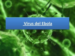 Virus del Ebola
 