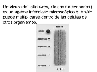 Un virus (del latín virus, «toxina» o «veneno»)
es un agente infeccioso microscópico que sólo
puede multiplicarse dentro de las células de
otros organismos.
 