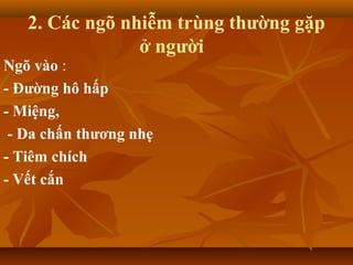 2. Các ngõ nhiễm trùng thường gặp
ở người
Ngõ vào :
- Đường hô hấp
- Miệng,
- Da chấn thương nhẹ
- Tiêm chích
- Vết cắn
 