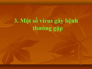 3. Một số virus gây bệnh
thường gặp
 