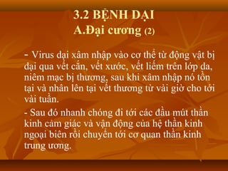 3.2 BỆNH DẠI
A.Đại cương (2)
- Virus dại xâm nhập vào cơ thể từ động vật bị
dại qua vết cắn, vết xước, vết liếm trên lớp da,
niêm mạc bị thương, sau khi xâm nhập nó tồn
tại và nhân lên tại vết thương từ vài giờ cho tới
vài tuần.
- Sau đó nhanh chóng đi tới các đầu mút thần
kinh cảm giác và vận động của hệ thần kinh
ngoại biên rồi chuyển tới cơ quan thần kinh
trung ương.
 