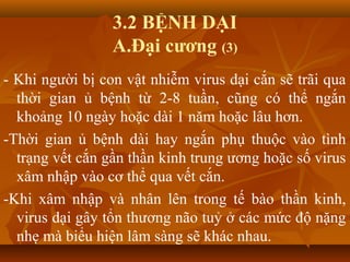 3.2 BỆNH DẠI
A.Đại cương (3)
- Khi người bị con vật nhiễm virus dại cắn sẽ trãi qua
thời gian ủ bệnh từ 2-8 tuần, cũng có thể ngắn
khoảng 10 ngày hoặc dài 1 năm hoặc lâu hơn.
-Thời gian ủ bệnh dài hay ngắn phụ thuộc vào tình
trạng vết cắn gần thần kinh trung ương hoặc số virus
xâm nhập vào cơ thể qua vết cắn.
-Khi xâm nhập và nhân lên trong tế bào thần kinh,
virus dại gây tổn thương não tuỷ ở các mức độ nặng
nhẹ mà biểu hiện lâm sàng sẽ khác nhau.
 