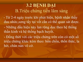 3.2 BỆNH DẠI
B.Triệu chứng tiền lâm sàng
- Từ 2-4 ngày trước khi phát hiện, bệnh nhân thấy
đau nhức,sưng tấy tại vết cắn có thể quan sát được.
- Những dấu hiệu này lan rộng dọc theo hệ thống
thần kinh và hệ thống bạch huyết.
- Đồng thời với các triệu chứng trên còn có một số
triệu chứng khác kèm theo: bồn chồn, thổn thức, la
hét, chán nản vô cớ.
 