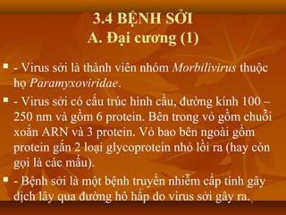 3.4 BỆNH SỞI
A. Đại cương (1)
 - Virus sởi là thành viên nhóm Morbilivirus thuộc
họ Paramyxoviridae.
 - Virus sởi có cấu trúc hình cầu, đường kính 100 –
250 nm và gồm 6 protein. Bên trong vỏ gồm chuỗi
xoắn ARN và 3 protein. Vỏ bao bên ngoài gồm
protein gắn 2 loại glycoprotein nhỏ lồi ra (hay còn
gọi là các mấu).
 - Bệnh sởi là một bệnh truyền nhiễm cấp tính gây
dịch lây qua đường hô hấp do virus sởi gây ra.
 