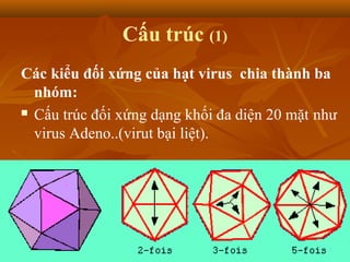 Cấu trúc (1)
Các kiểu đối xứng của hạt virus chia thành ba
nhóm:
 Cấu trúc đối xứng dạng khối đa diện 20 mặt như
virus Adeno..(virut bại liệt).
 