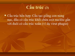 Cấu trúc (3)
 Cấu trúc hốn hợp: Cấu tạo giống con nòng
nọc, đầu có cấu trúc khối chứa axit nuclêic gắn
với đuôi có cấu trúc xoắn (ví dụ virut phagio)
 