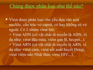 Chúng được phân loại như thế nào?
 Virut được phân loại chủ yếu dựa vào axit
nuclêic, cấu trúc vỏ capsit, có hay không có vỏ
ngoài. Có 2 nhóm virut lớn:
+ Virut ADN (có vật chất di truyền là ADN, ví
dụ như: virut đậu mùa, viêm gan B, hecpet...).
+ Virut ARN (có vật chất di truyền là ARN, ví
dụ như: virut cúm, virut sốt xuất huyết Dengi,
virut viêm não Nhật Bản, virut HIV...).
 