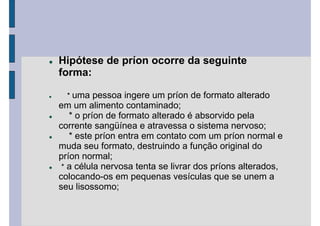 Hipótese de príon ocorre da seguinte
forma:
* uma pessoa ingere um príon de formato alterado
em um alimento contaminado;
* o príon de formato alterado é absorvido pela
corrente sangüínea e atravessa o sistema nervoso;
* este príon entra em contato com um príon normal e
muda seu formato, destruindo a função original do
príon normal;
* a célula nervosa tenta se livrar dos príons alterados,
colocando-os em pequenas vesículas que se unem a
seu lisossomo;
 
