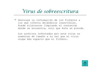Virus de sobreescritura
 Destruye la información de los ficheros a
los que infecta dejándolos inservibles.
Puede eliminarse limpiando el contenido
donde se encuentra, solo que éste se pierde.
Los archivos infectados por este virus no
aumentan de tamaño a no ser que el virus
ocupe más espacio que el fichero.
 