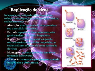 Independente do tipo da célula hospedeira,
todos os vírus seguem as mesmas etapas básicas,
conhecidas como ciclo lítico:
 Absorção: uma partícula de vírus prendem-
se a uma célula hospedeira;
 Entrada: a partícula libera suas instruções
genéticas dentro da célula hospedeira;
 Replicação: o material genético injetado
recrutas enzimas das células hospedeira, as
enzimas fazem as partes de novas partículas
de vírus;
 Montagem: as novas partículas juntam-se
formando novos vírus;
 Liberação: os novos vírus rompem a célula
hospedeira e libertam-se.
 