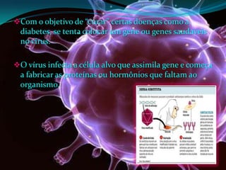 Com o objetivo de “curar” certas doenças como a
diabetes, se tenta colocar um gene ou genes saudaveis
no vírus.
O vírus infecta a célula alvo que assimila gene e começa
a fabricar as proteínas ou hormônios que faltam ao
organismo.
 