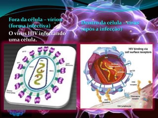 Fora da célula – vírion
(forma infectiva)
O vírus HIV infectando
uma célula.
Dentro da célula – vírus
(após a infecção)
 