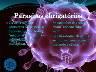 Os vírus tem que
parasitar a célula para se
duplicar, usando toda a
“maquinaria” da célula –
organelas para se
multiplicar.
Se estão fora das célula
ficam “adormecidos” –
víron;
Se estão dentro da célula
se multiplicam e acabam
matando a célula.
 