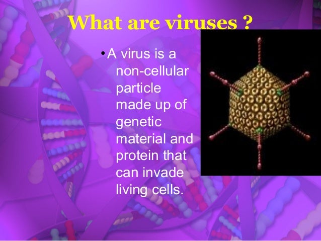 virus ppt symmetry power point