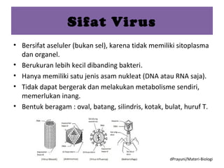 Virus | PPT